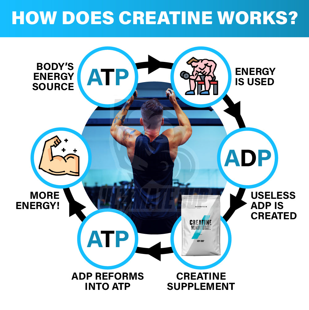 Myprotein Creatine Monohydrate Powder - How does creatine works?