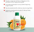 ChildLife, Liquid Calcium with Magnesium, Natural Orange Flavor, 16 fl oz (474 ml) - Ultimate Sup Singapore