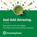 Amazing Grass, Organic Kale Powder, 5.29 oz (150 g) - Ultimate Sup Singapore