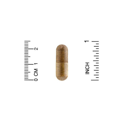 California Gold Nutrition, Bee Propolis 2X, 500 mg, 90-240 Caps - Ultimate Sup Singapore