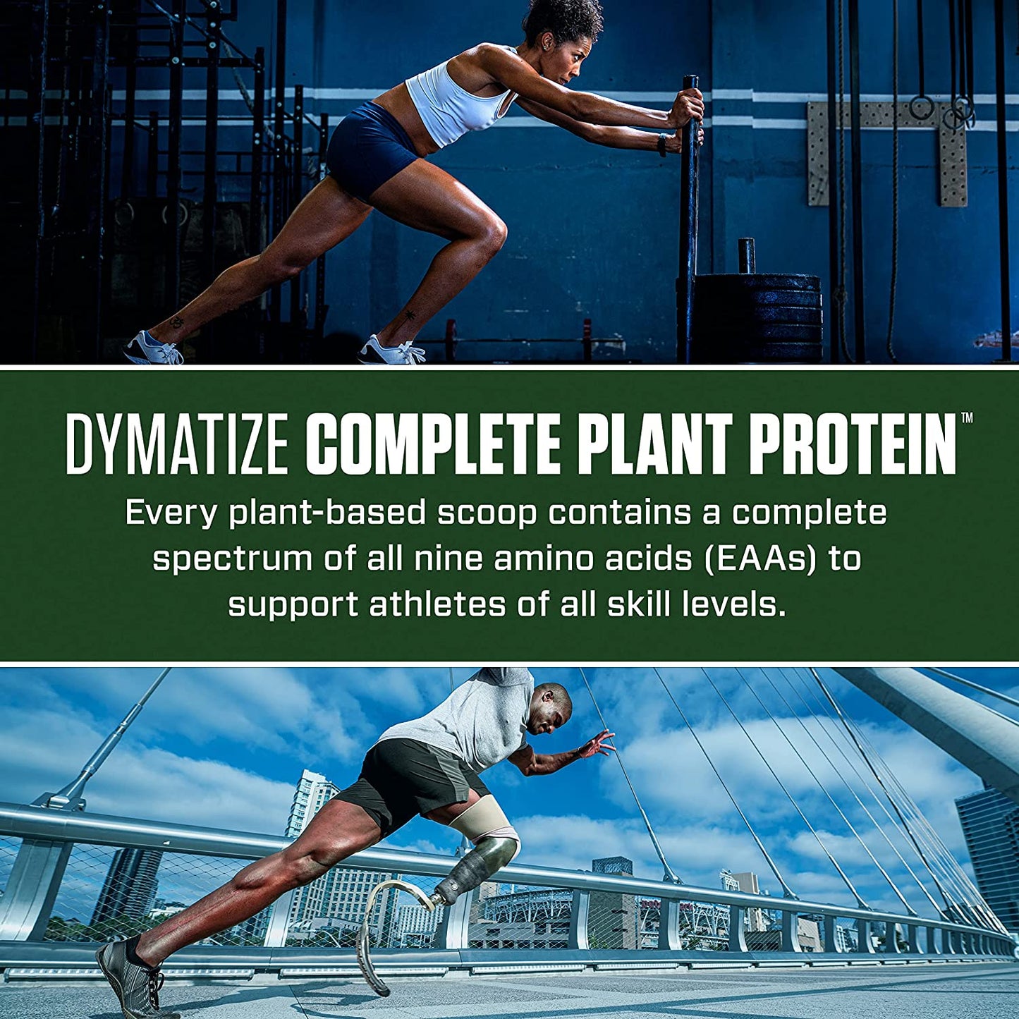 Dymatize Nutrition, Complete Plant Protein, 15 Sers - Ultimate Sup Singapore