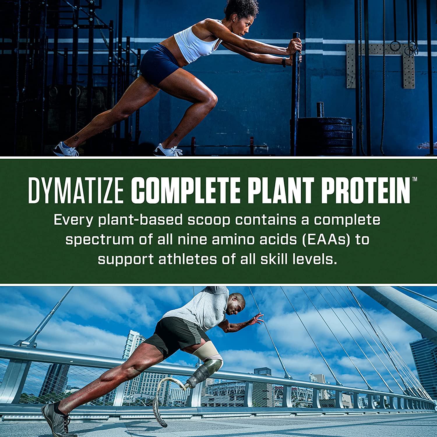 Dymatize Nutrition, Complete Plant Protein, 15 Sers - Ultimate Sup Singapore