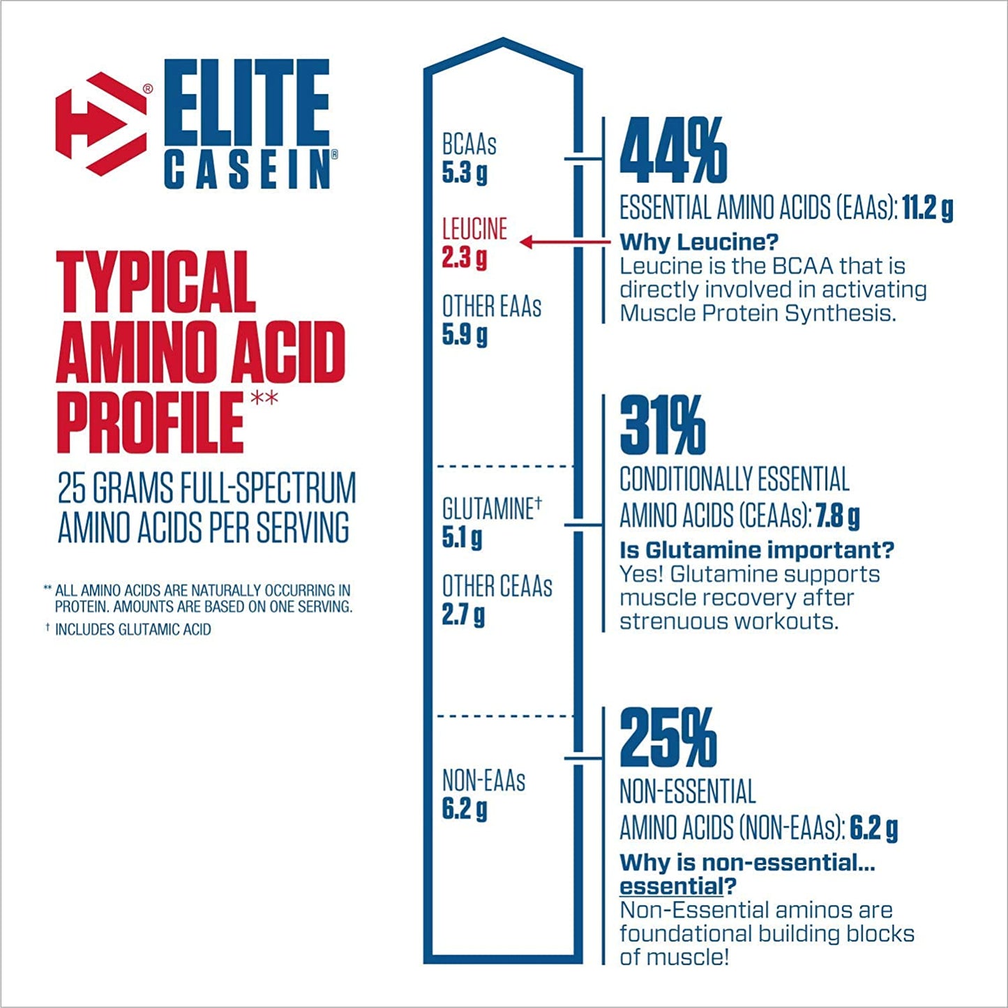 Dymatize Nutrition, Elite Casein, 2lbs - Ultimate Sup Singapore