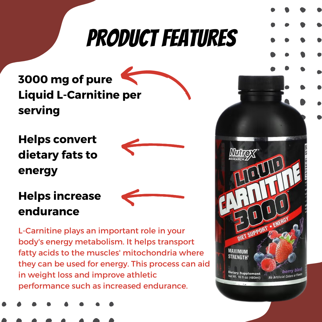 Nutrex Research Liquid Carnitine 3000, 16 fl oz 473ml - Ultimate Sup Singapore