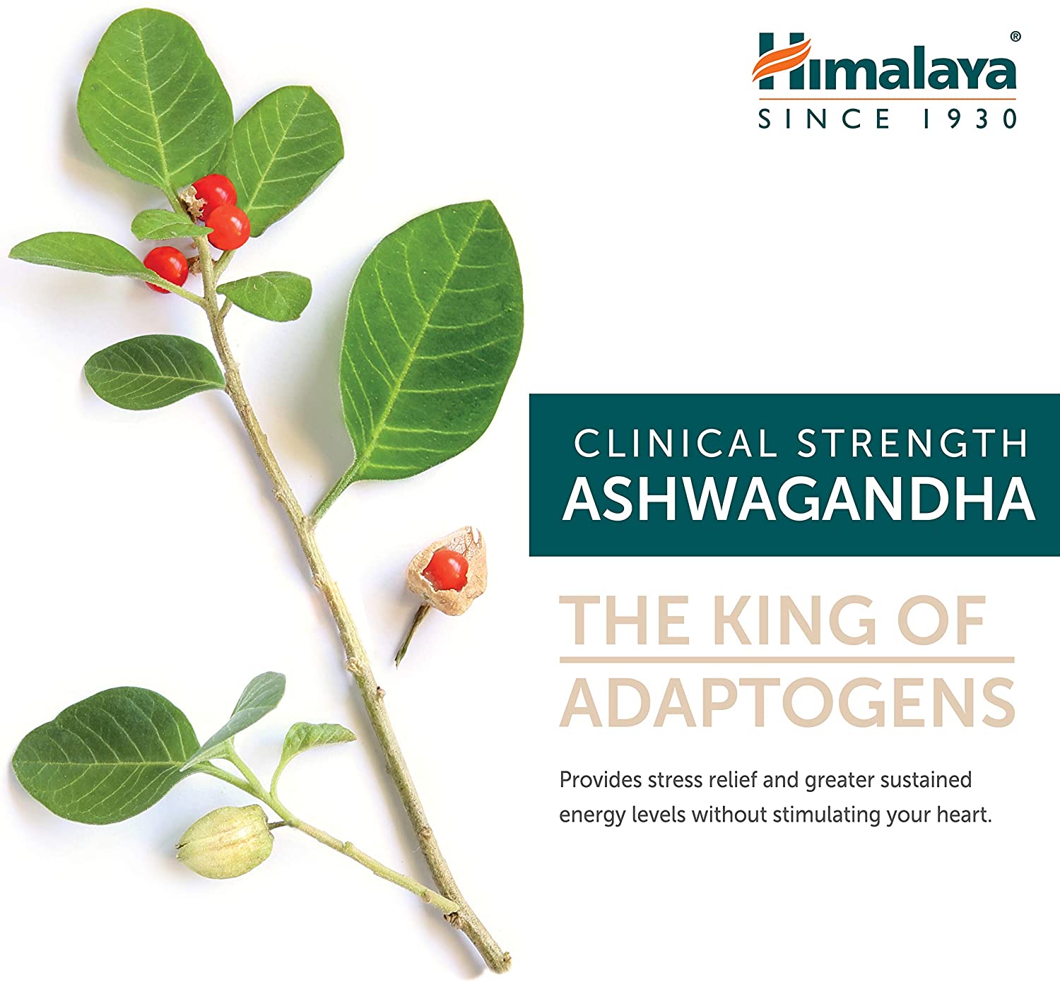 Himalaya, Ashwagandha, 60-90 Caps - Ultimate Sup Singapore