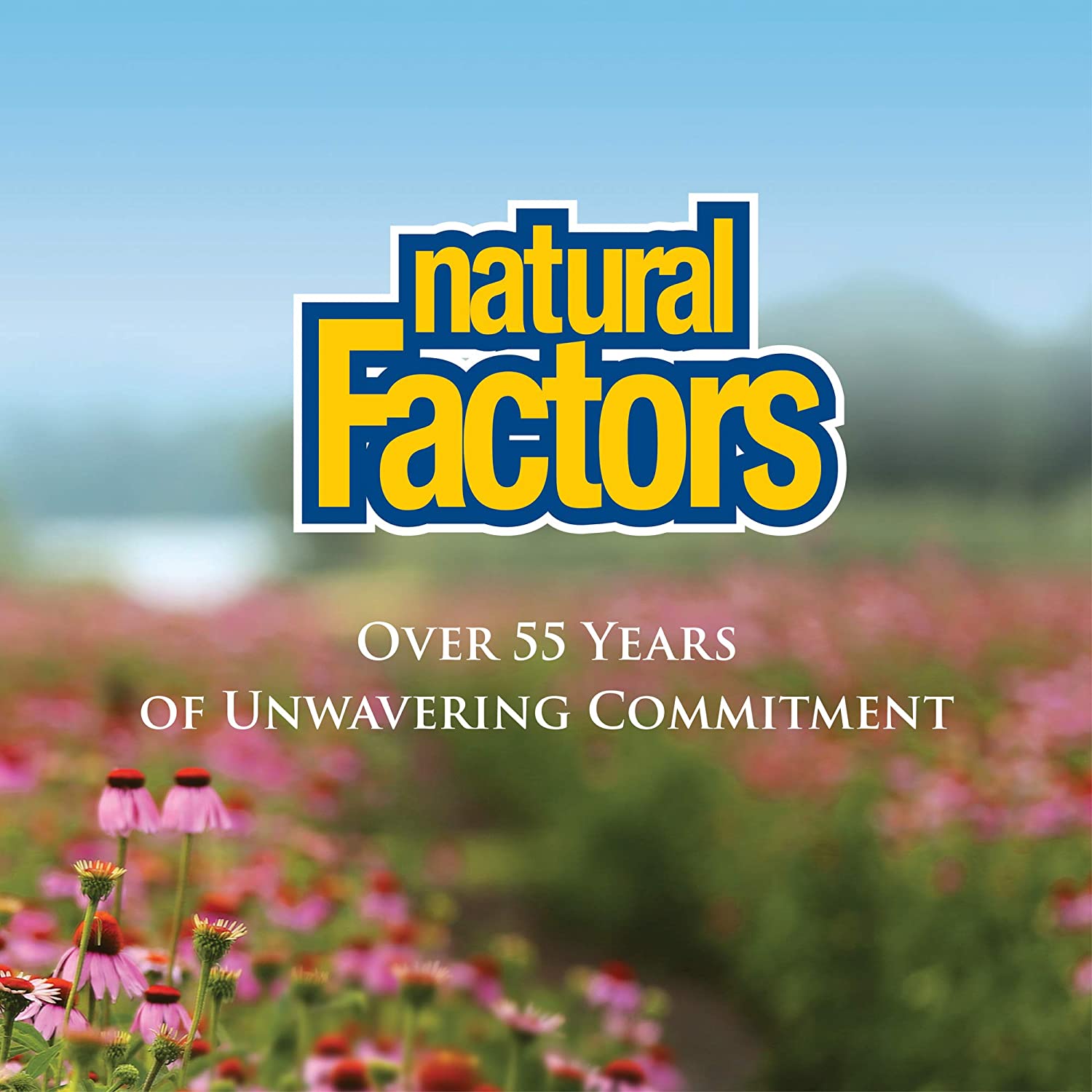 Natural Factors, Turmeric & Bromelain, 450 mg, 90 Capsules - Ultimate Sup Singapore