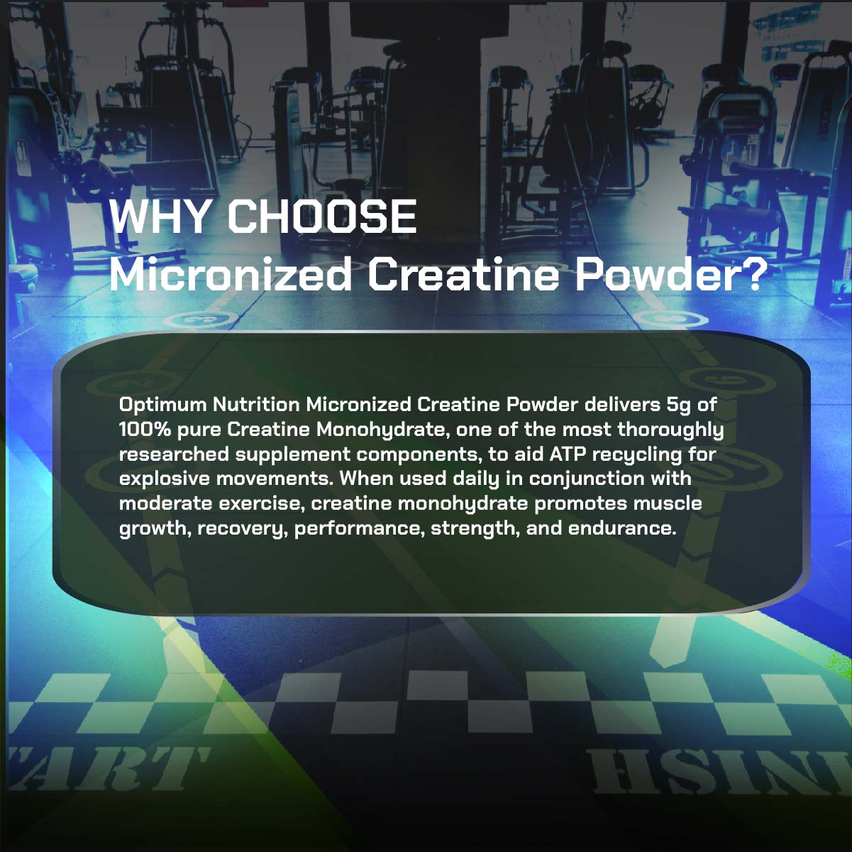 Optimum Nutrition, Micronized Creatine Powder, 60-240 sers - Ultimate Sup Singapore