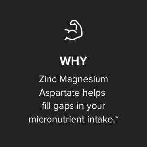 Optimum Nutrition, ZMA, 180 Capsules - Ultimate Sup Singapore