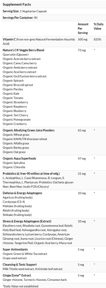 Paradise Herbs, Earth's Blend, Vitamin C, 500 mg, Immune Support, 90 Vegetarian Capsules - Ultimate Sup Singapore
