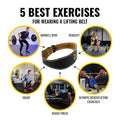 Ultimate Sup, Leather Weight Lifting Belt, 3 Sizes - Ultimate Sup Singapore